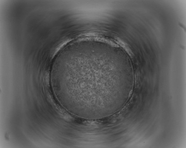 X0000096400297200801311357