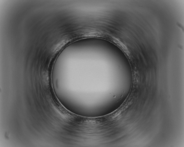 X0000096400298200801311357