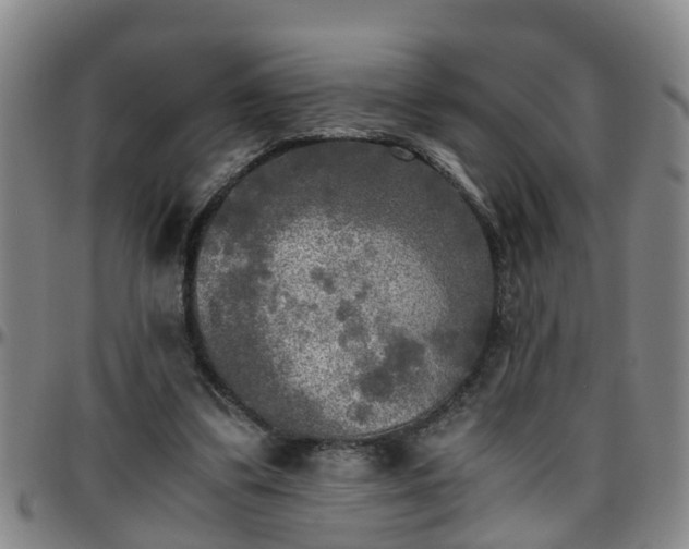 X0000096400299200801311357