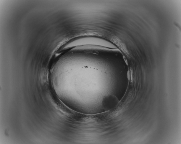 X0000096400300200801311357