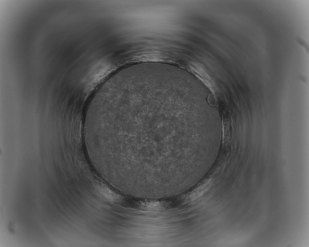 X0000096400301200801311357