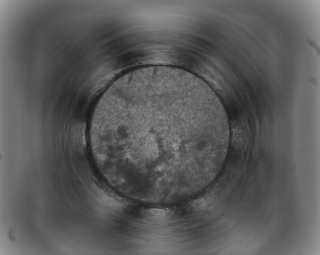 X0000096400302200801311357