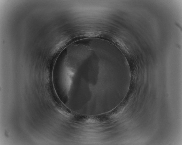 X0000096400303200801311357