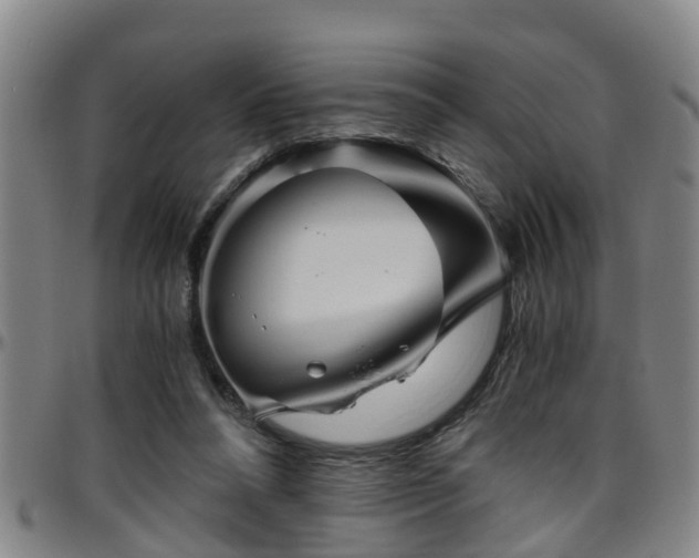 X0000096400304200801311357