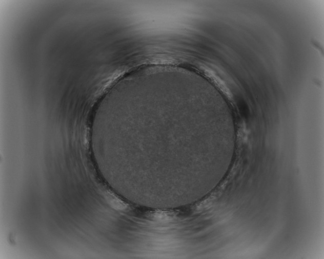 X0000096400305200801311357