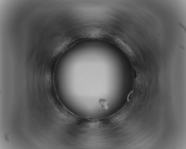 X0000096400306200801311357