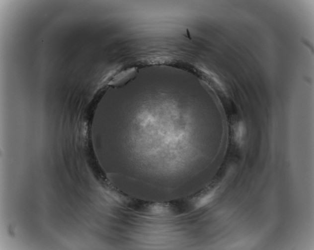 X0000096400308200801311357