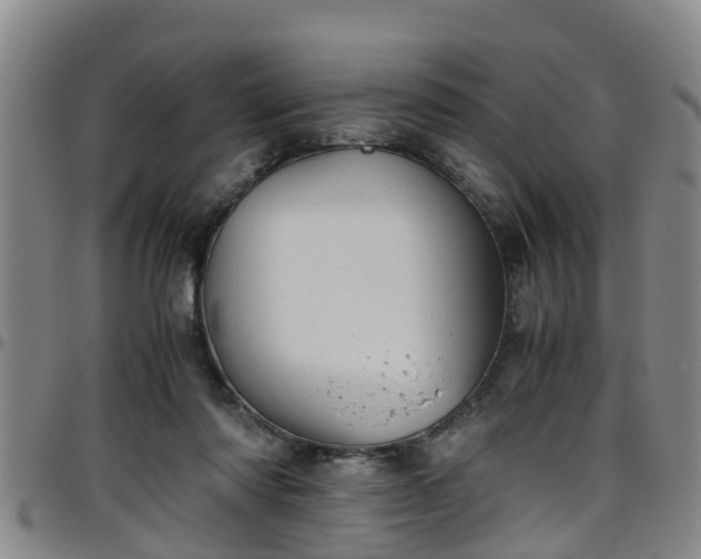 X0000096400310200801311357