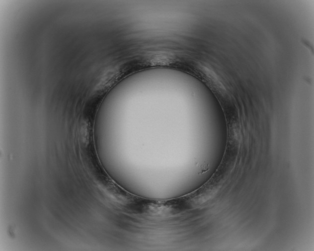 X0000096400311200801311357