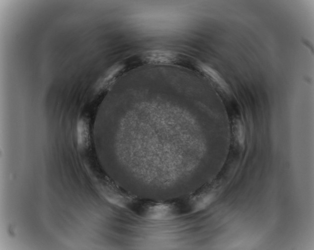 X0000096400312200801311356