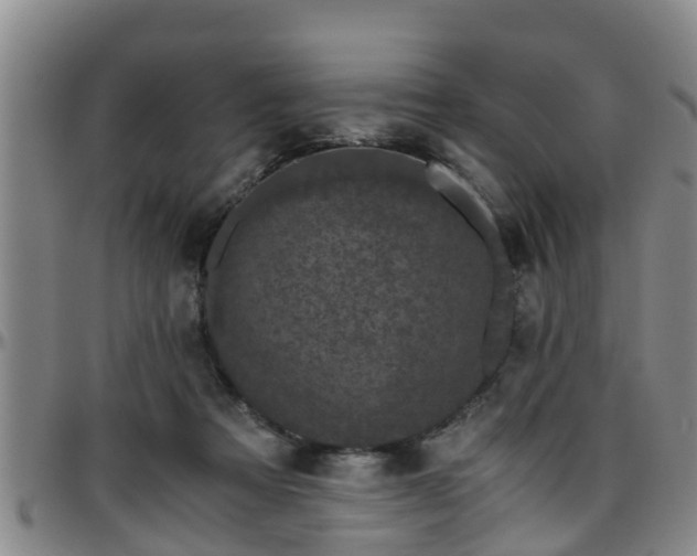 X0000096400313200801311356