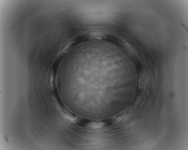 X0000096400314200801311356