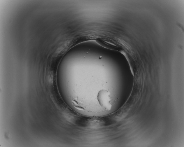 X0000096400315200801311356