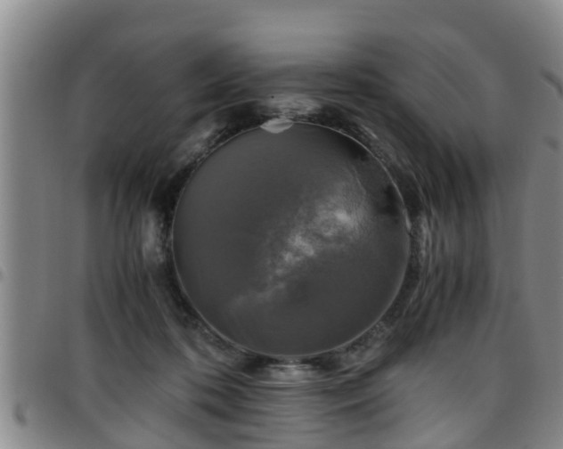 X0000096400316200801311356