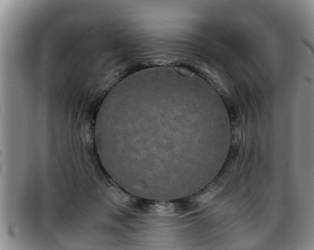 X0000096400317200801311356