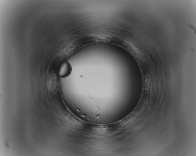 X0000096400318200801311356