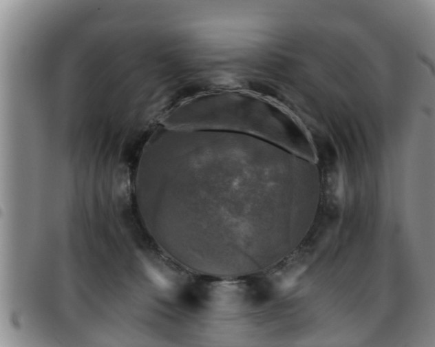 X0000096400320200801311356