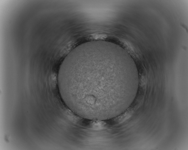 X0000096400321200801311356