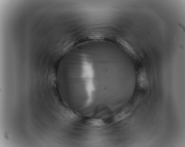 X0000096400322200801311356