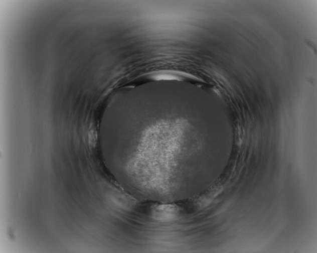 X0000096400324200801311356