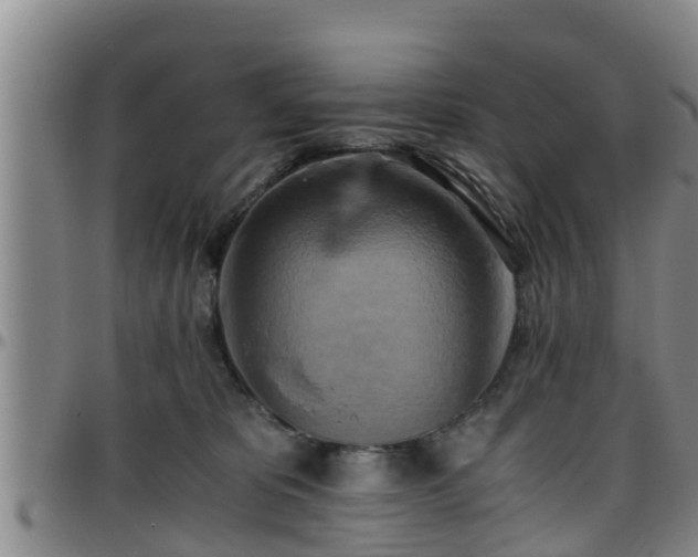 X0000096400325200801311356