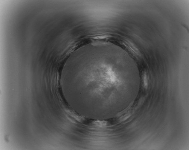 X0000096400328200801311356