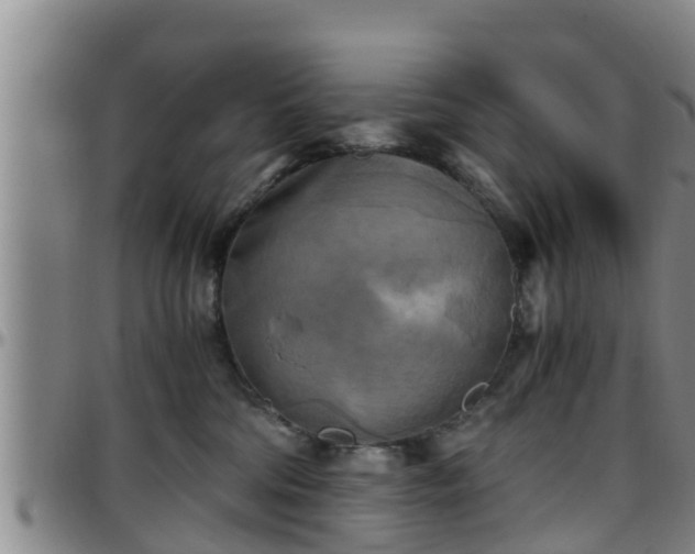 X0000096400330200801311356