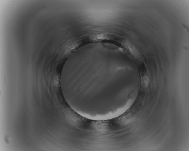 X0000096400331200801311356