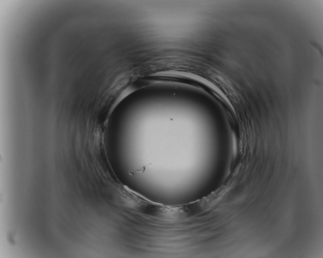 X0000096400333200801311356