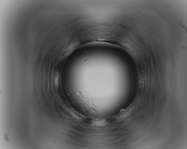 X0000096400334200801311356