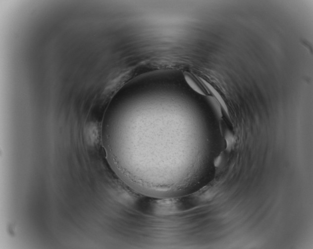 X0000096400335200801311356