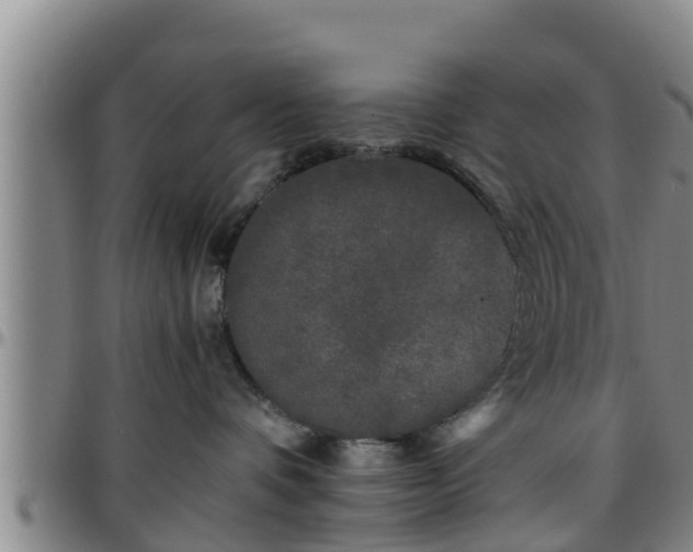 X0000096400336200801311356