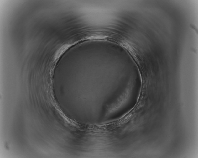 X0000096400337200801311356