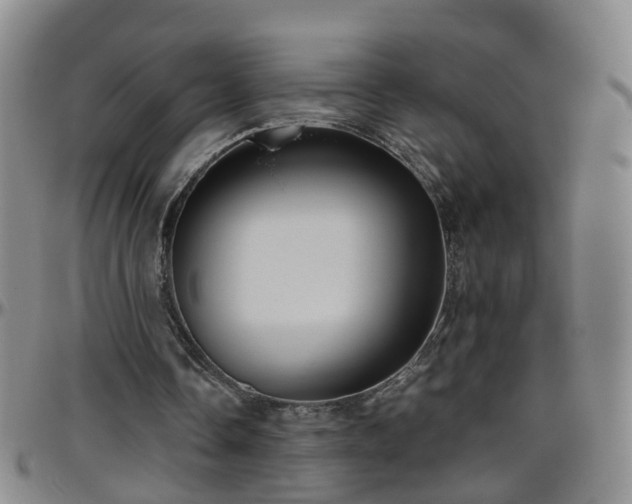 X0000096400338200801311356