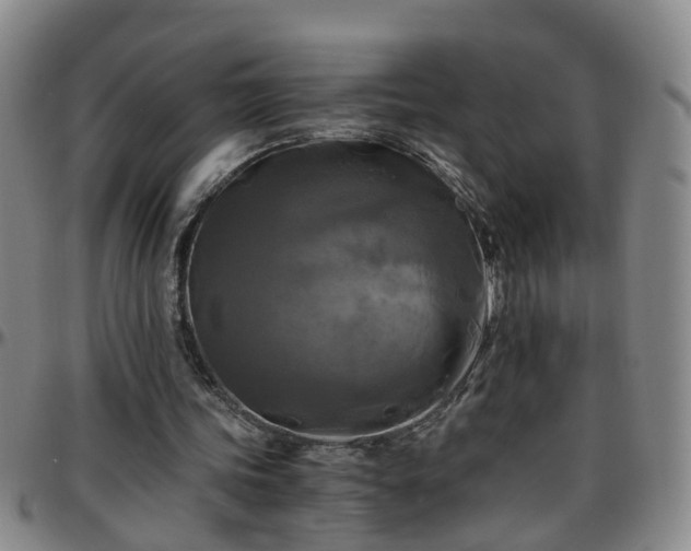 X0000096400339200801311356