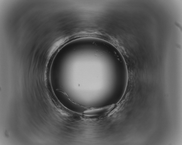 X0000096400340200801311356