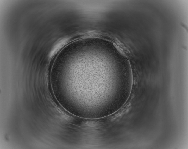 X0000096400341200801311356