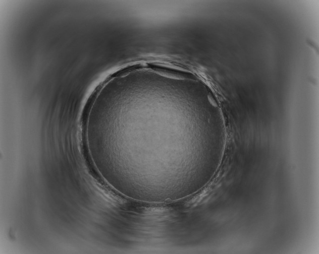 X0000096400342200801311356