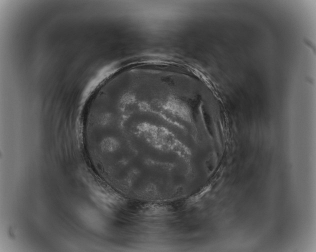 X0000096400343200801311356