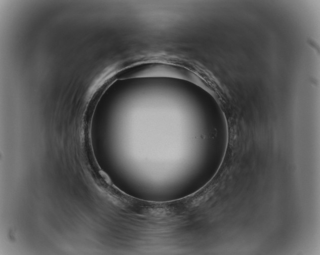 X0000096400344200801311356