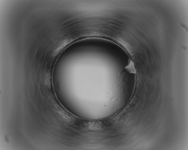 X0000096400345200801311356