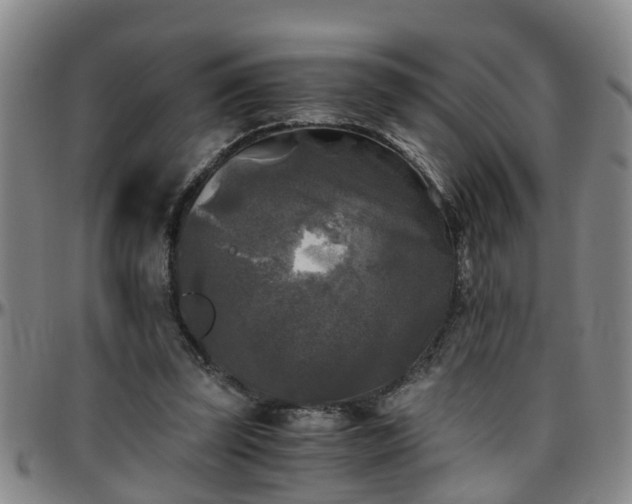 X0000096400347200801311356