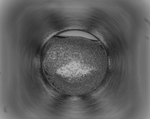 X0000096400348200801311356