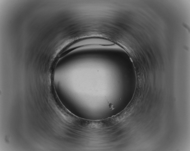 X0000096400350200801311356