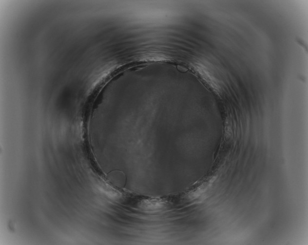 X0000096400351200801311356