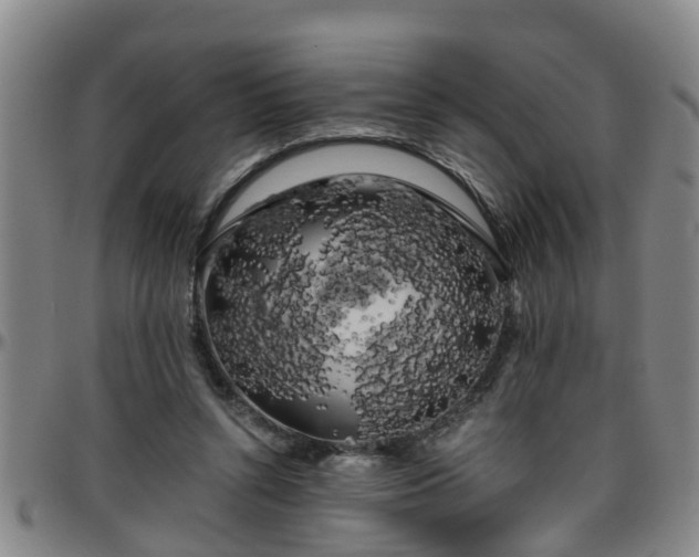 X0000096400352200801311356