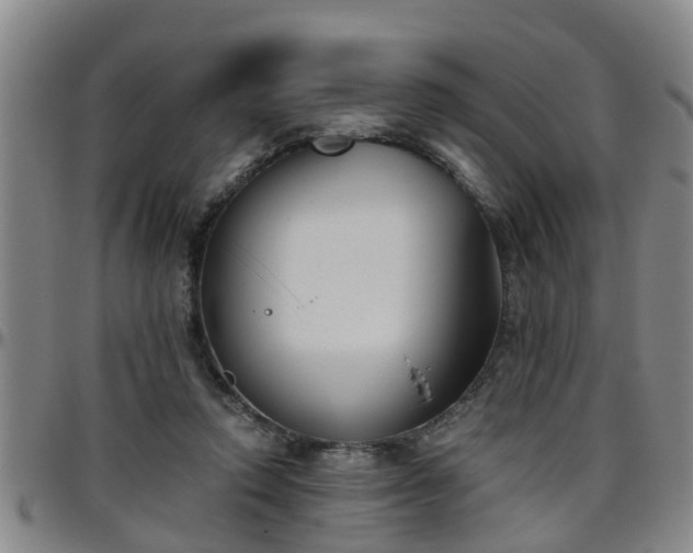 X0000096400354200801311356