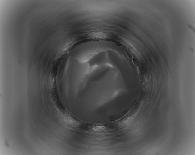 X0000096400355200801311356