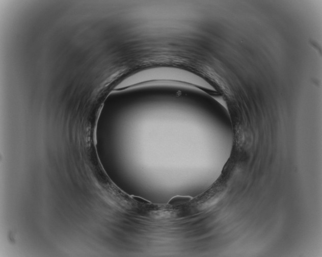 X0000096400356200801311356