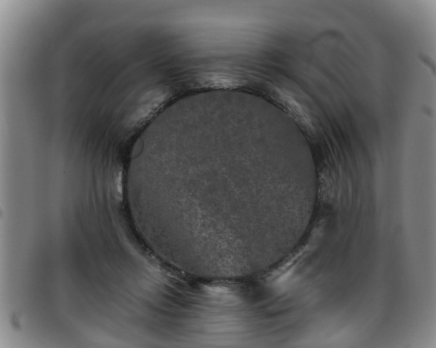 X0000096400358200801311356